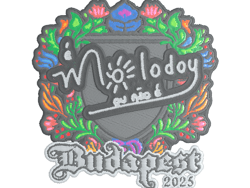 molodoy (Embroidered) CS2 Sticker