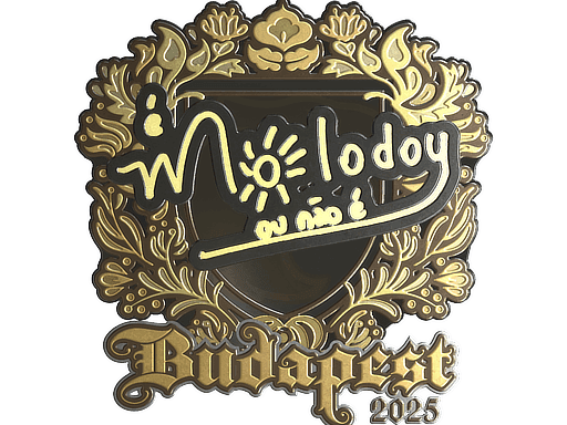 molodoy (Gold) CS2 Sticker