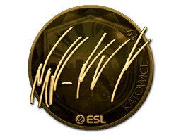 NAF (Gold) CS2 Sticker