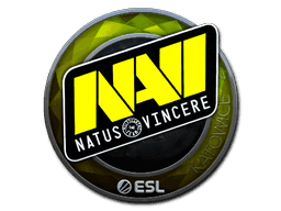 Natus Vincere (Foil) CS2 Sticker