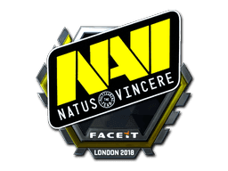 Natus Vincere (Foil) CS2 Sticker