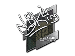 NBK- CS2 Sticker