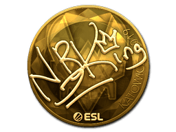 NBK- (Gold) CS2 Sticker