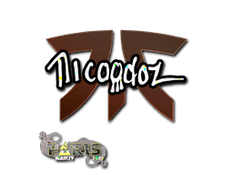 nicoodoz (Glitter) CS2 Sticker