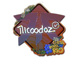 nicoodoz (Glitter) CS2 Sticker