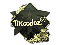 nicoodoz (Gold) CS2 Sticker