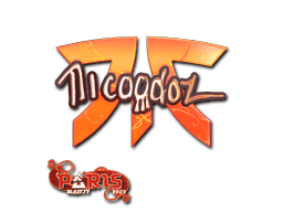 nicoodoz (Holo) CS2 Sticker