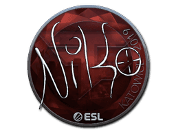 NiKo (Foil) CS2 Sticker