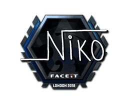 niko (Foil) CS2 Sticker