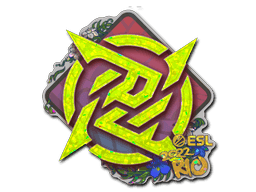 Ninjas in Pyjamas (Glitter) CS2 Sticker