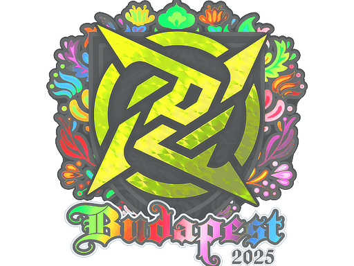 Ninjas in Pyjamas (Holo) CS2 Sticker