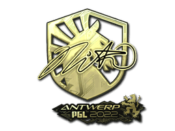 nitr0 (Gold) CS2 Sticker