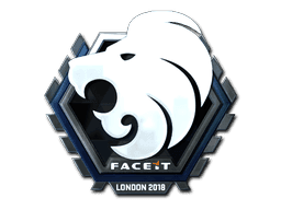 North (Foil) CS2 Sticker