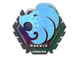 North (Holo) CS2 Sticker