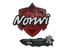 Norwi CS2 Sticker