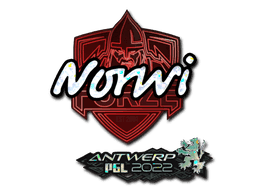 Norwi (Glitter) CS2 Sticker