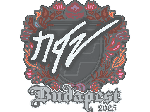 NQZ CS2 Sticker
