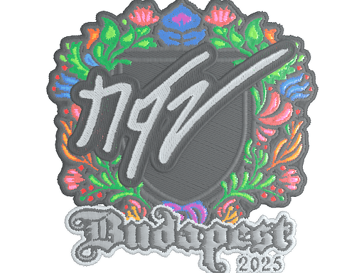 NQZ (Embroidered) CS2 Sticker