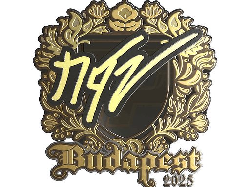 NQZ (Gold) CS2 Sticker