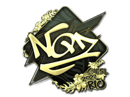 NQZ (Gold) CS2 Sticker