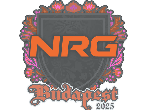 NRG CS2 Sticker