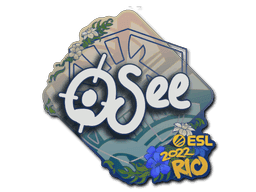 oSee CS2 Sticker