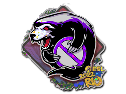Outsiders (Glitter) CS2 Sticker