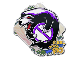 Outsiders CS2 Sticker