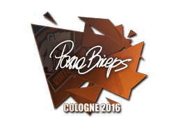 pashaBiceps CS2 Sticker