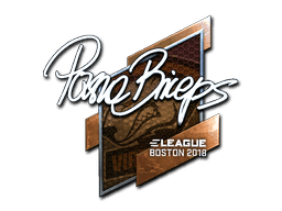 pashaBiceps (Foil) CS2 Sticker