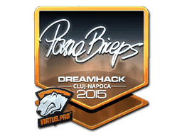 pashaBiceps (Foil) CS2 Sticker