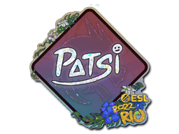 Patsi (Glitter) CS2 Sticker