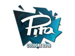 pita CS2 Sticker