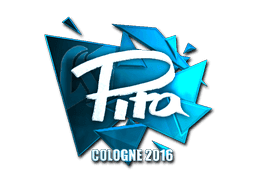 pita (Foil) CS2 Sticker