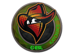 Renegades (Holo) CS2 Sticker