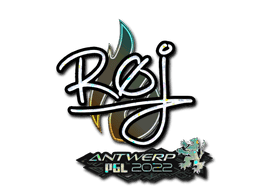 roeJ (Glitter) CS2 Sticker