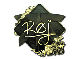 roeJ (Gold) CS2 Sticker