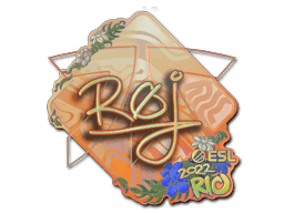 roeJ (Holo) CS2 Sticker