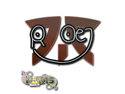 roeJ CS2 Sticker