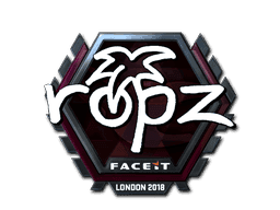 ropz (Foil) CS2 Sticker