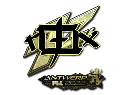 rox (Gold) CS2 Sticker