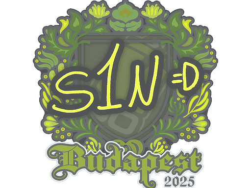 s1n CS2 Sticker