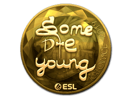 sdy (Gold) CS2 Sticker