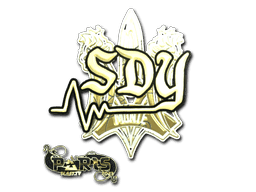 sdy (Gold) CS2 Sticker