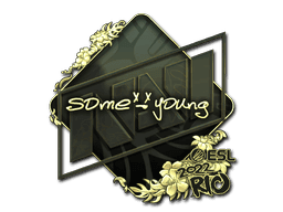 sdy (Gold) CS2 Sticker