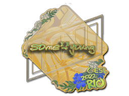 sdy (Holo) CS2 Sticker