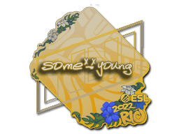 sdy CS2 Sticker