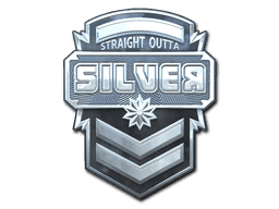 Silver (Foil) CS2 Sticker