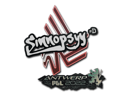 sinnopsyy CS2 Sticker