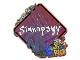 sinnopsyy (Glitter) CS2 Sticker